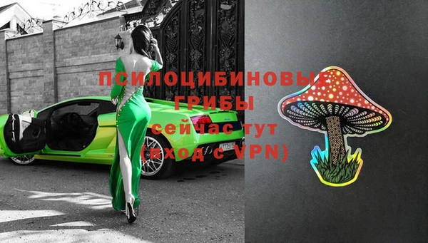 ПСИЛОЦИБИНОВЫЕ ГРИБЫ Покачи