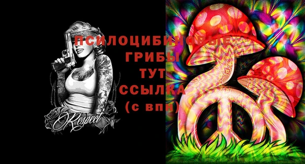 ПСИЛОЦИБИНОВЫЕ ГРИБЫ Покачи