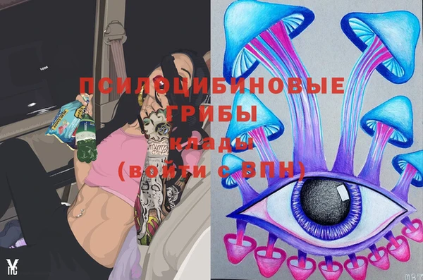 ПСИЛОЦИБИНОВЫЕ ГРИБЫ Покачи