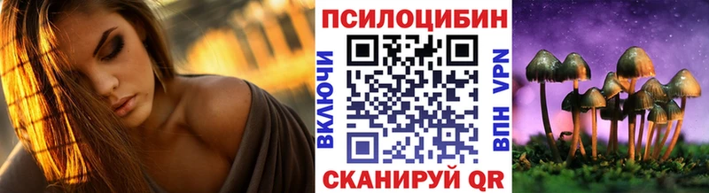 Псилоцибиновые грибы Psilocybine cubensis  Абаза 